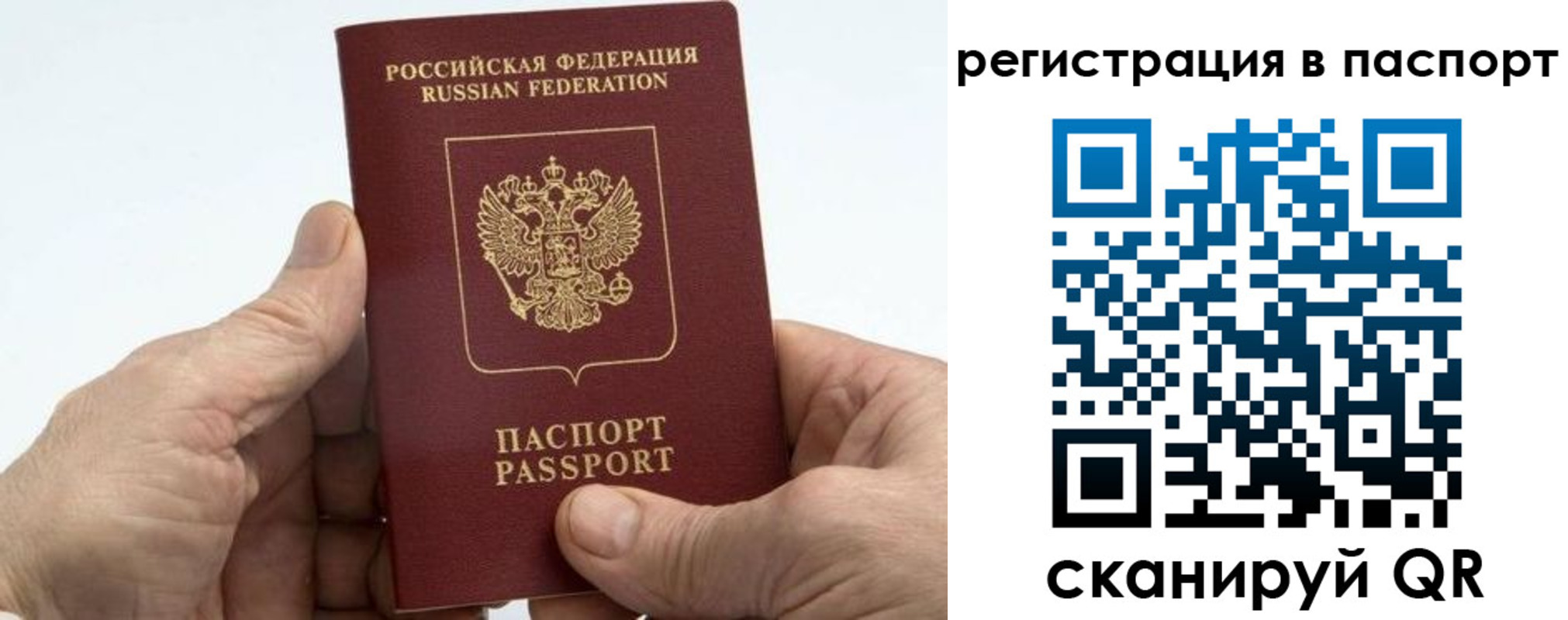 купить прописку в Ковдоре
